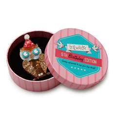 Erstwilder 5th Birthday Having A Hoot Owl Brooch Pin Box