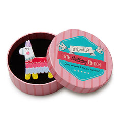 Erstwilder 5th Birthday Viva Pinata Brooch Pin Box