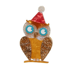 Erstwilder 5th Birthday Having A Hoot Owl Brooch Pin Front