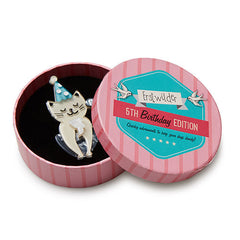 Erstwilder 5th Birthday Party Animal Cat Brooch Pin Box