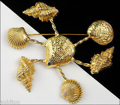 Seashell brooch online